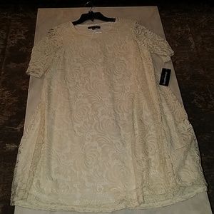 Ivory lce